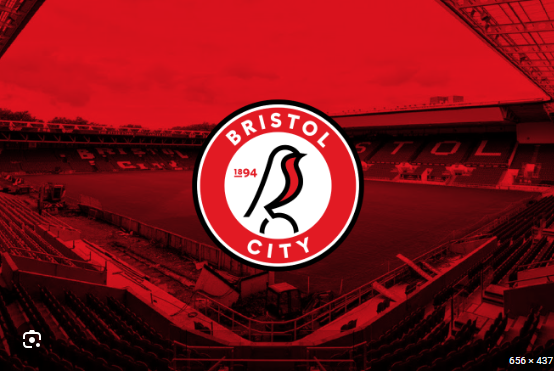 Bristol City forward in surprise loan move after rapid rise