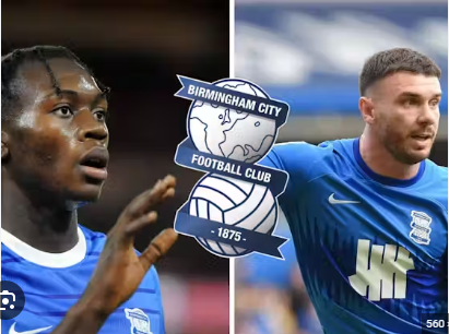 Birmingham City man unlikely to be offered new deal – Birmingham Mail reporter